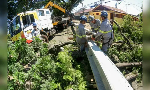 Temporal deixa 14 mil casas sem energia em Maringá