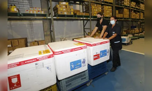 Mais de 289 mil vacinas contra covid e gripe chegam no PR