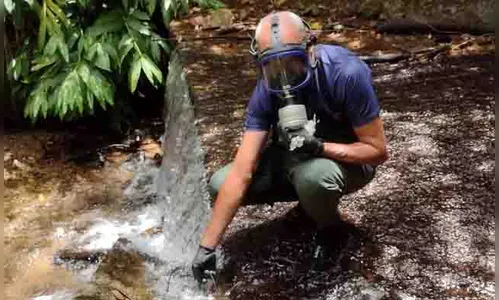 IAT abre vagas para profissionais atuarem na área ambiental