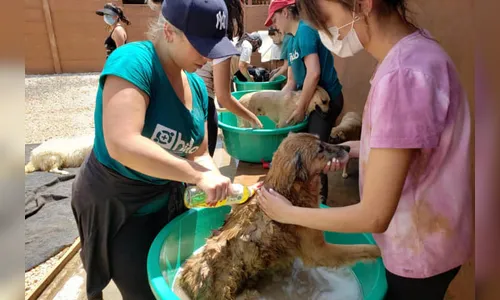 Quase 400 entidades devem atualizar perfil no Nota Paraná