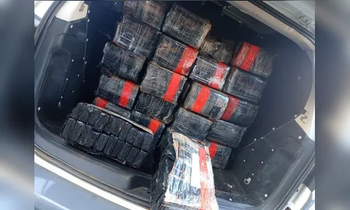 Força-tarefa de Arapongas apreende mais de 200 kg de maconha