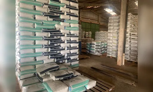 Herbicidas e fertilizantes tem reajustes de até 300% no ano