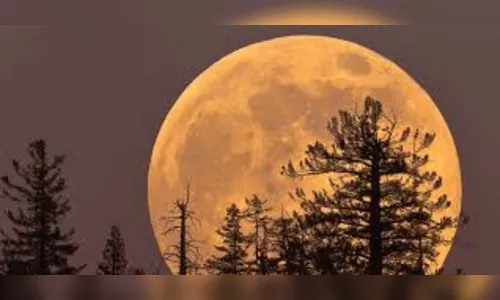 Mulher chama a polícia e diz que marido viu o lobisomem