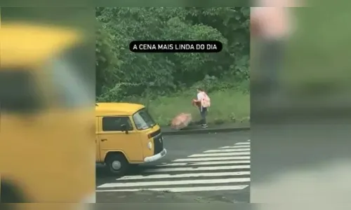 Menina tira casaco para agasalhar cachorra ferida na chuva
