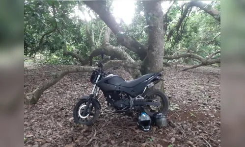 Dupla armada rende dono em assalto a comércio de Califórnia