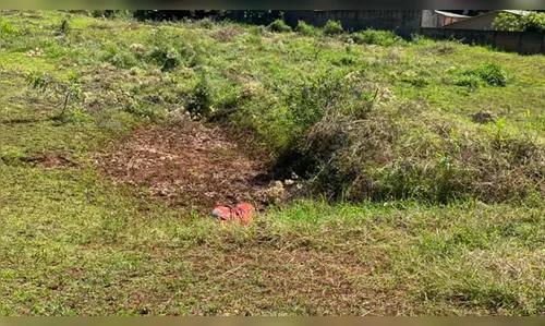 Mulher é morta a facadas e arrastada até fundo de vale no PR