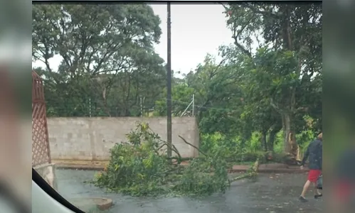 Vento de mais de 67 km/h atinge Apucarana e causa estragos
