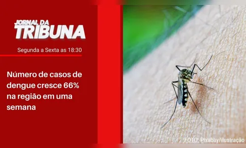 Número de casos de dengue cresce 66% na região em uma semana