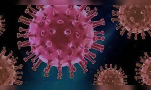 Paraná confirma mais 1.801 casos e oito óbitos pela Covid-19