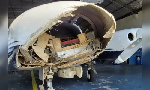 Piloto que fez pouso de emergência é preso ao buscar avião