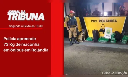 Polícia apreende 73 Kg de maconha em ônibus em Rolândia