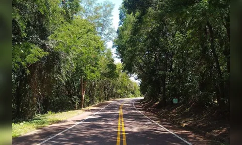 Rodovia Toledo e Santa Helena recebe reforço na sinalização