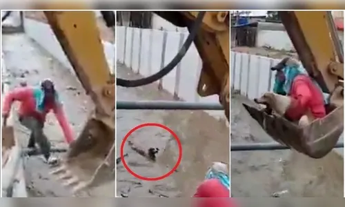 Trabalhadores salvam cachorro que caiu em canal no Equador