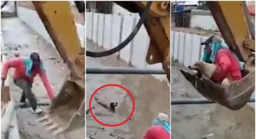 Resgate foi feito com a ajuda de uma escavadeira