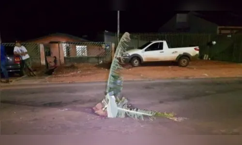 Revoltados com buraco, moradores “plantam” bananeira em rua