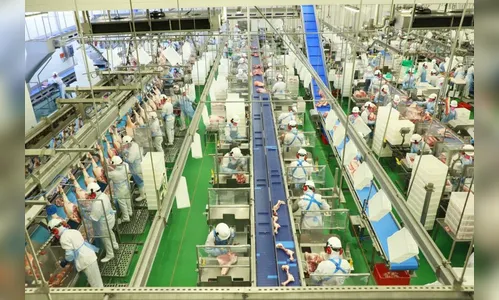 Setor de serviços responde por 66% das vagas de emprego