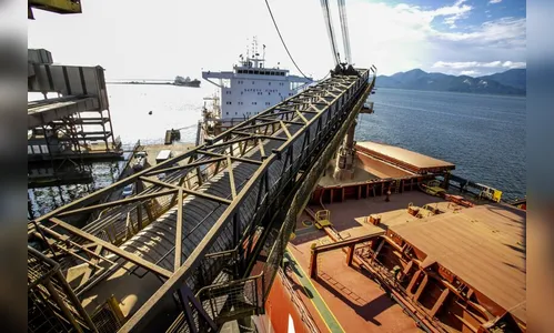 Porto deve exportar 6,5 milhões de toneladas no 2º trimestre