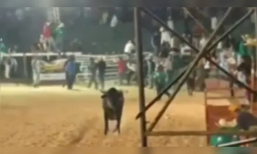 Touro escapa e público de rodeio fica ferido em Patrocínio (MG)