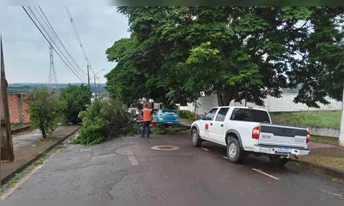 Vendaval da madrugada causa estragos em Londrina e região