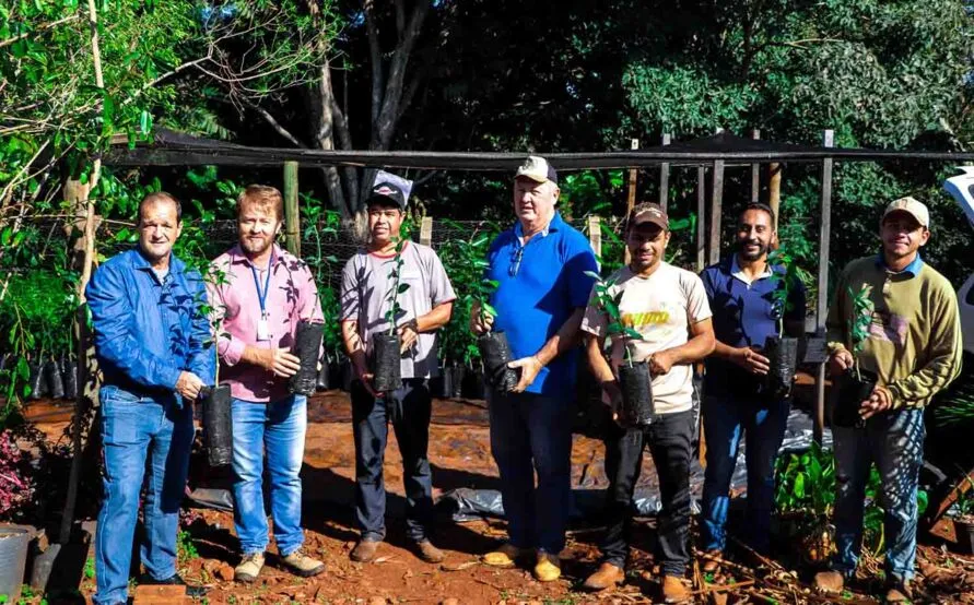 Agricultores de Jardim Alegre recebem 2 mil mudas de citros