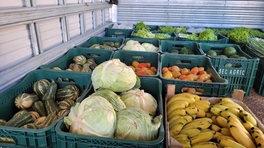 Apucarana inicia a troca de recicláveis por hortifruti; veja