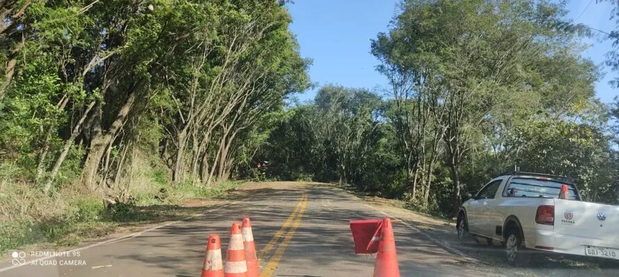 DER realiza corte de árvores entre Marilândia e Rio Bom