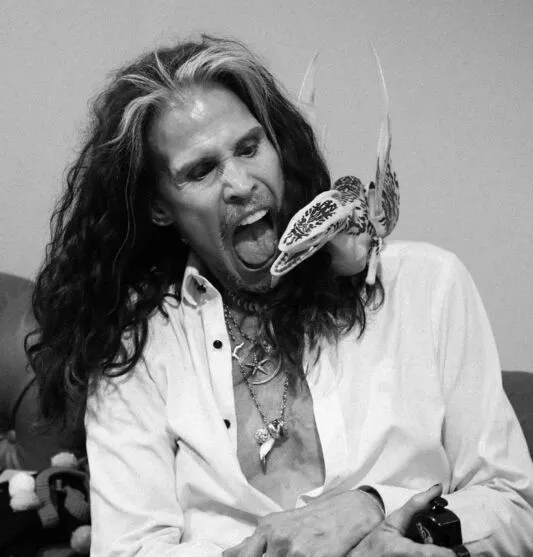 Steven Tyler se interna em clínica de reabilitação