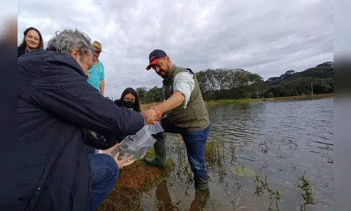 Programa Rio Vivo contribui com repovoamento de rios do PR