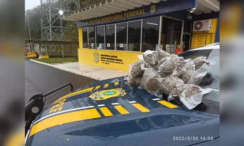 Adolescente que levava drogas para o RJ é apreendida no PR