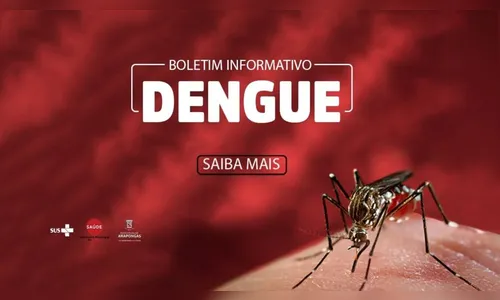 Arapongas registra 1.373 casos de dengue