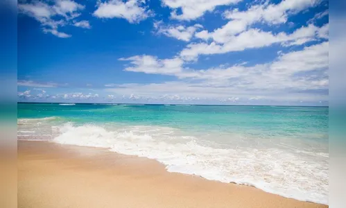 Balneabilidade das Praias do Paraná; Confira a importância