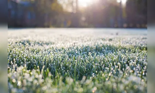Brasil deve enfrentar onda de frio intenso na próxima semana