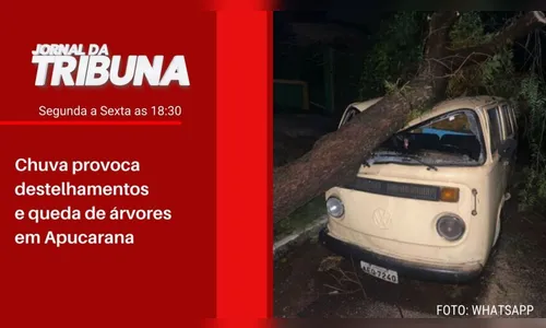Chuva provoca destelhamentos e queda de árvores em Apucarana