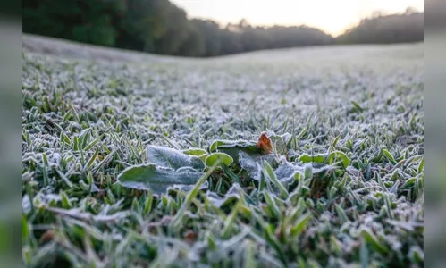 Cidades do Paraná registram geada ao amanhecer desta sexta