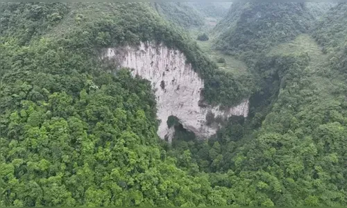 Cientistas descobrem antiga floresta dentro de buraco