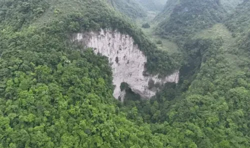 Cientistas descobrem antiga floresta dentro de buraco