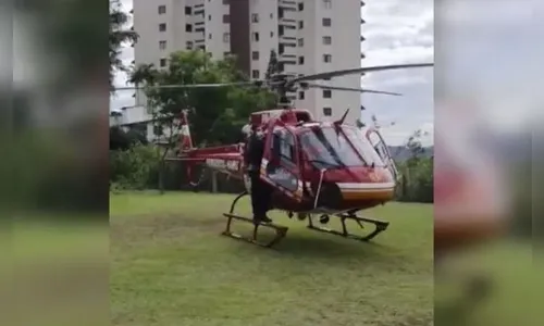 Cobra mais venenosa do país pica criança de 6 anos em SC