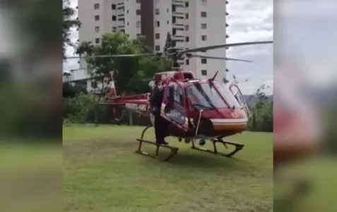 Cobra mais venenosa do país pica criança de 6 anos em SC