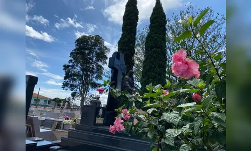 Falecimentos divulgados neste domingo (15) em Apucarana