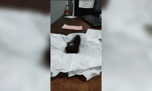 Filha arranca cabelo da mãe após briga em Apucarana