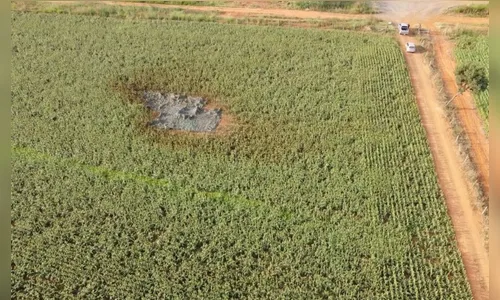 Foguete do Exército Brasileiro cai em plantação de Formosa