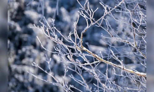 Frio deve ser mais intenso nesta quarta, diz meteorologista