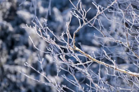 Frio deve ser mais intenso nesta quarta, diz meteorologista