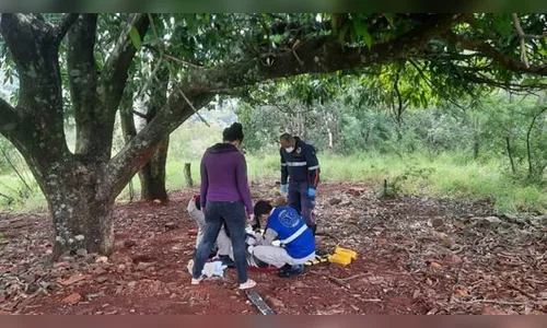 Homem é agredido a pauladas e pedradas em Londrina
