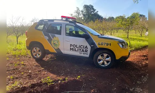 Ladrões invadem sítio e roubam irmãos idosos em Apucarana