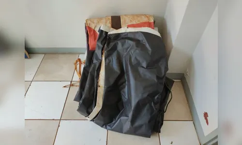 Lonas furtadas são encontradas com cigano em Apucarana