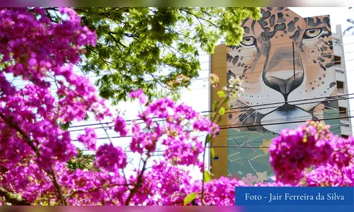 Começa a obra de recuperação do painel da onça, em Apucarana