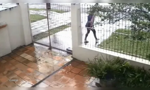 PR: Câmera flagra mulher abandonando filhote de gato; veja