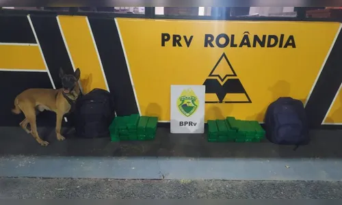 PRE apreende mais de 35 Kg de maconha em Rolândia; veja