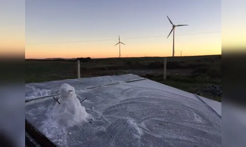 Paraná tem o 1º registro de neve do ano, diz Simepar